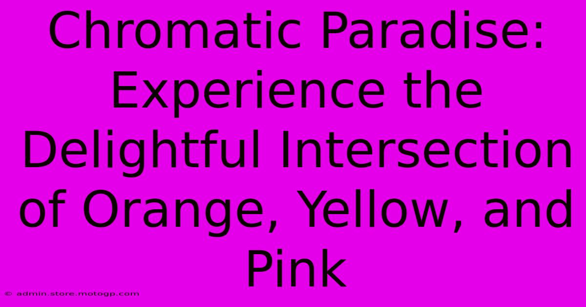 Chromatic Paradise: Experience The Delightful Intersection Of Orange, Yellow, And Pink