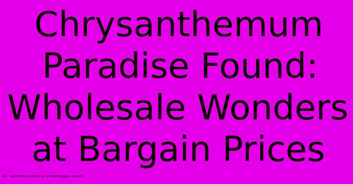 Chrysanthemum Paradise Found: Wholesale Wonders At Bargain Prices