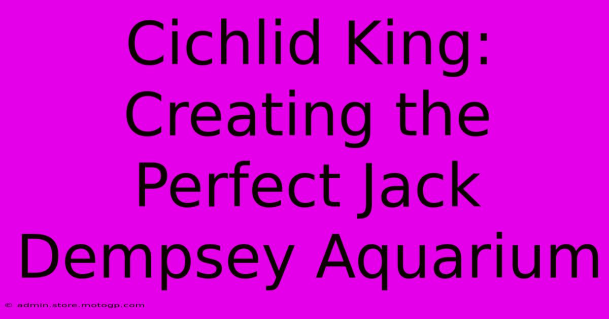 Cichlid King: Creating The Perfect Jack Dempsey Aquarium