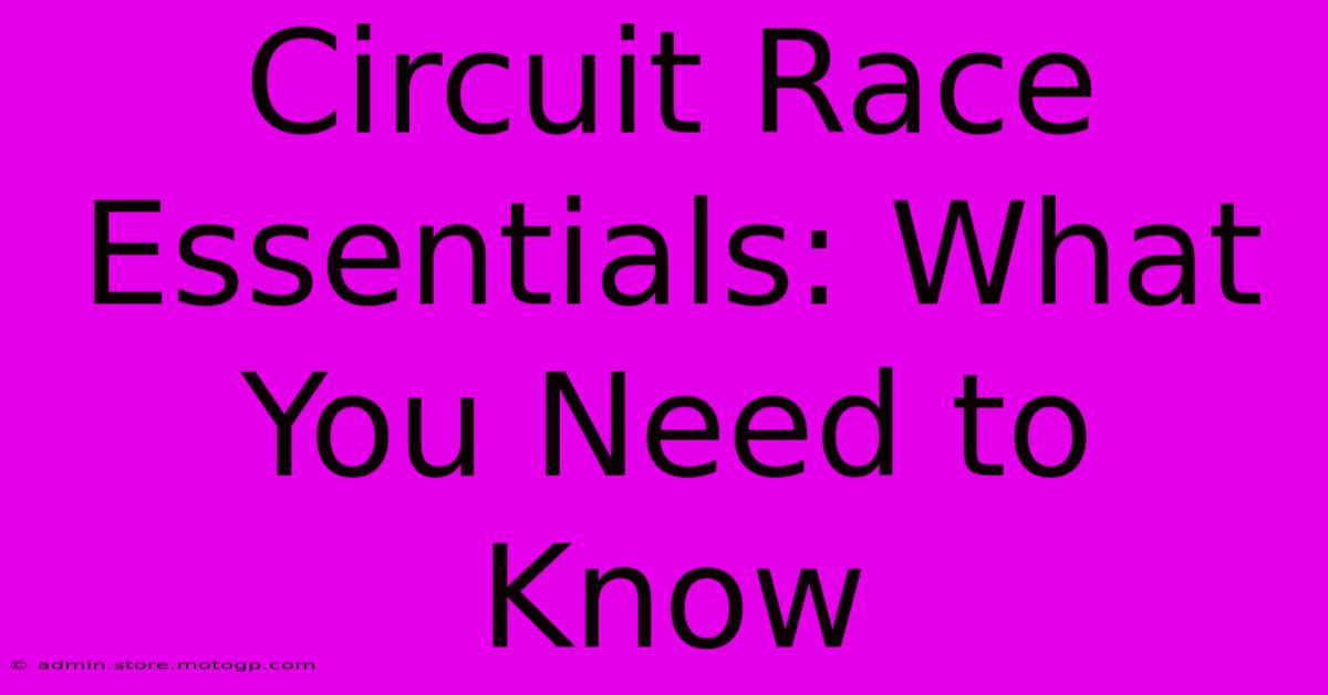 Circuit Race Essentials: What You Need To Know