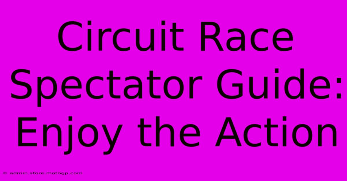 Circuit Race Spectator Guide: Enjoy The Action