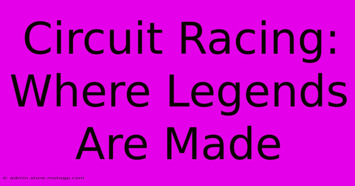 Circuit Racing: Where Legends Are Made