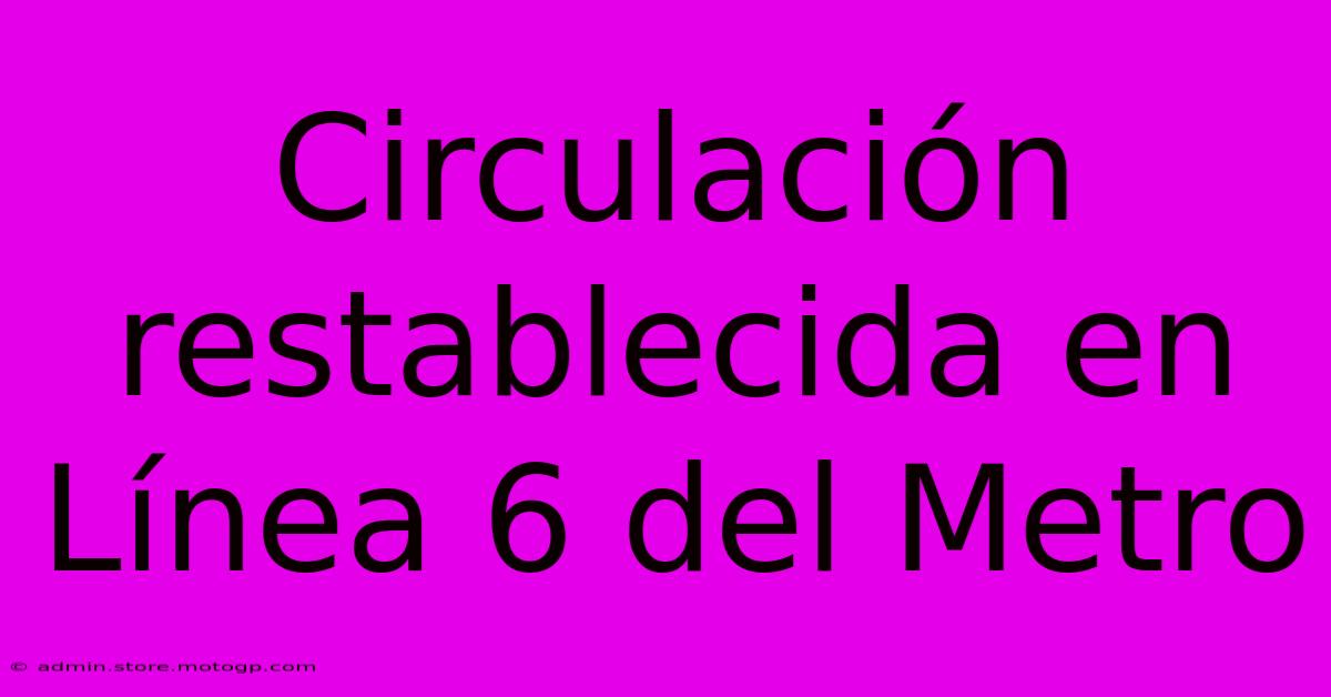 Circulación Restablecida En Línea 6 Del Metro