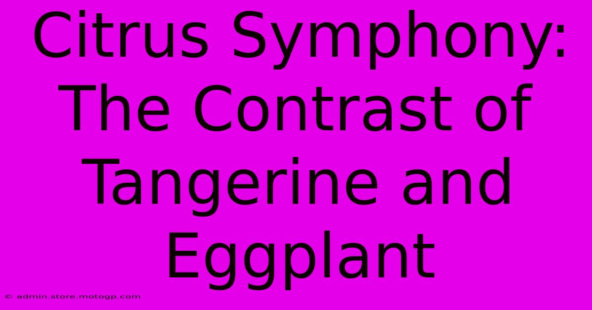 Citrus Symphony: The Contrast Of Tangerine And Eggplant