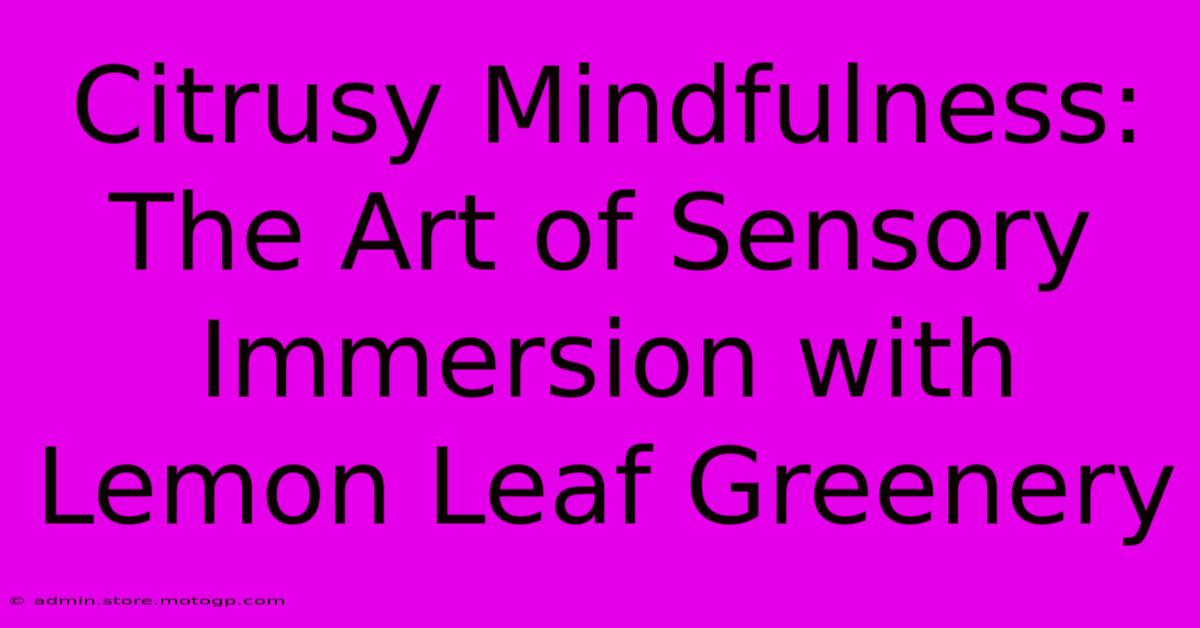 Citrusy Mindfulness: The Art Of Sensory Immersion With Lemon Leaf Greenery