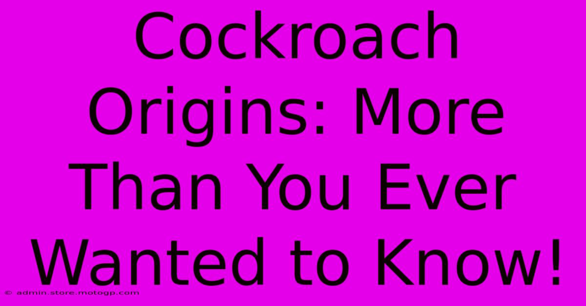 Cockroach Origins: More Than You Ever Wanted To Know!