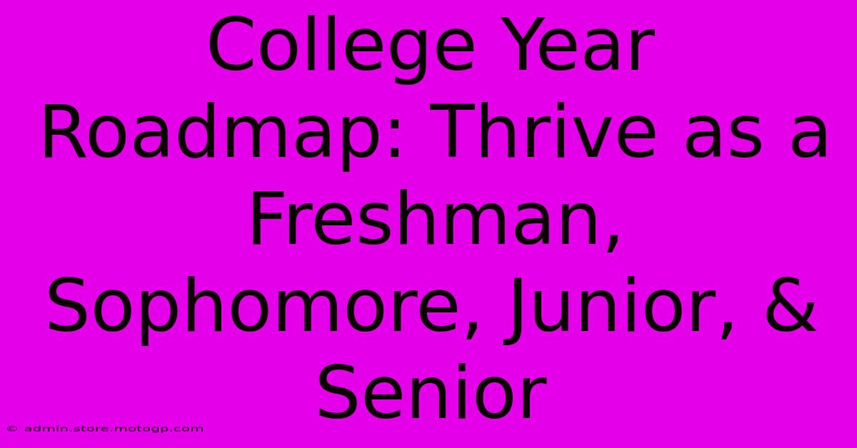 College Year Roadmap: Thrive As A Freshman, Sophomore, Junior, & Senior