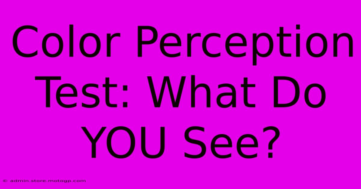 Color Perception Test: What Do YOU See?