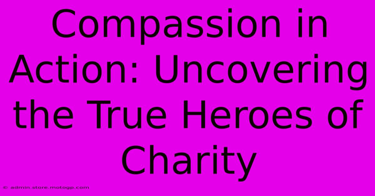 Compassion In Action: Uncovering The True Heroes Of Charity