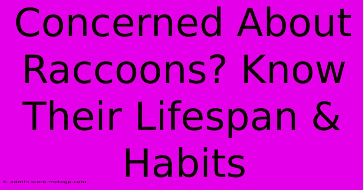 Concerned About Raccoons? Know Their Lifespan & Habits