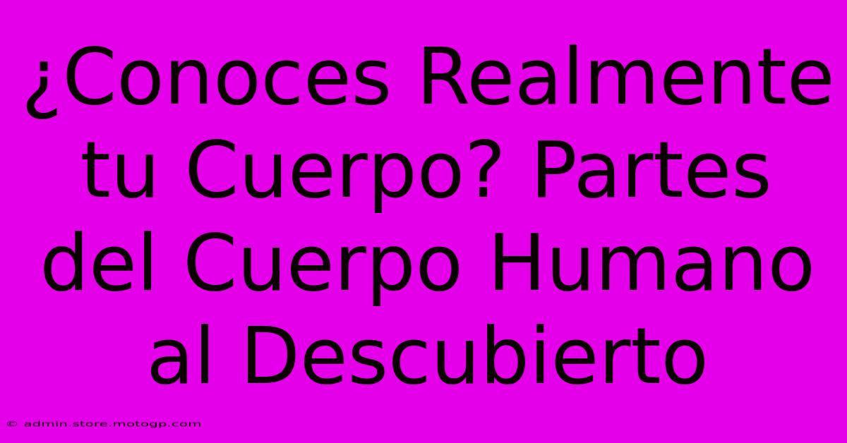 ¿Conoces Realmente Tu Cuerpo? Partes Del Cuerpo Humano Al Descubierto