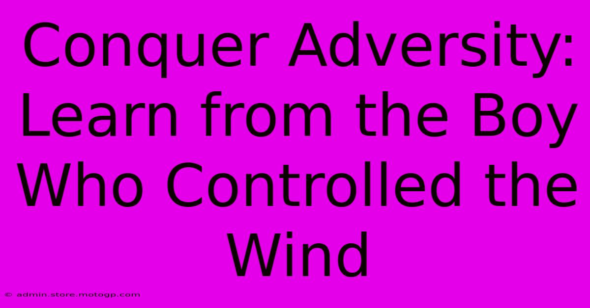 Conquer Adversity: Learn From The Boy Who Controlled The Wind