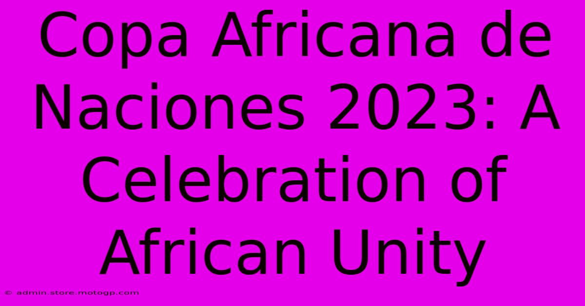 Copa Africana De Naciones 2023: A Celebration Of African Unity