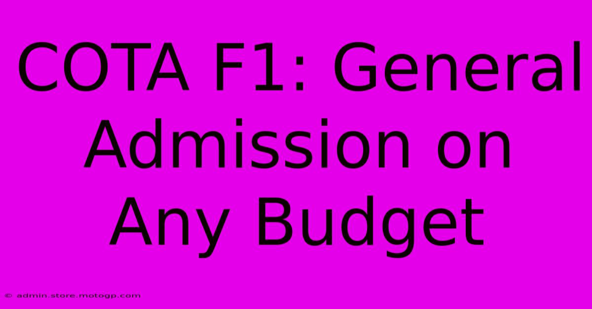 COTA F1: General Admission On Any Budget