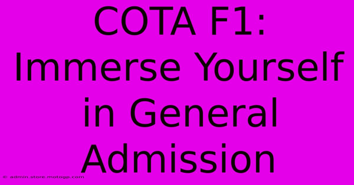 COTA F1: Immerse Yourself In General Admission