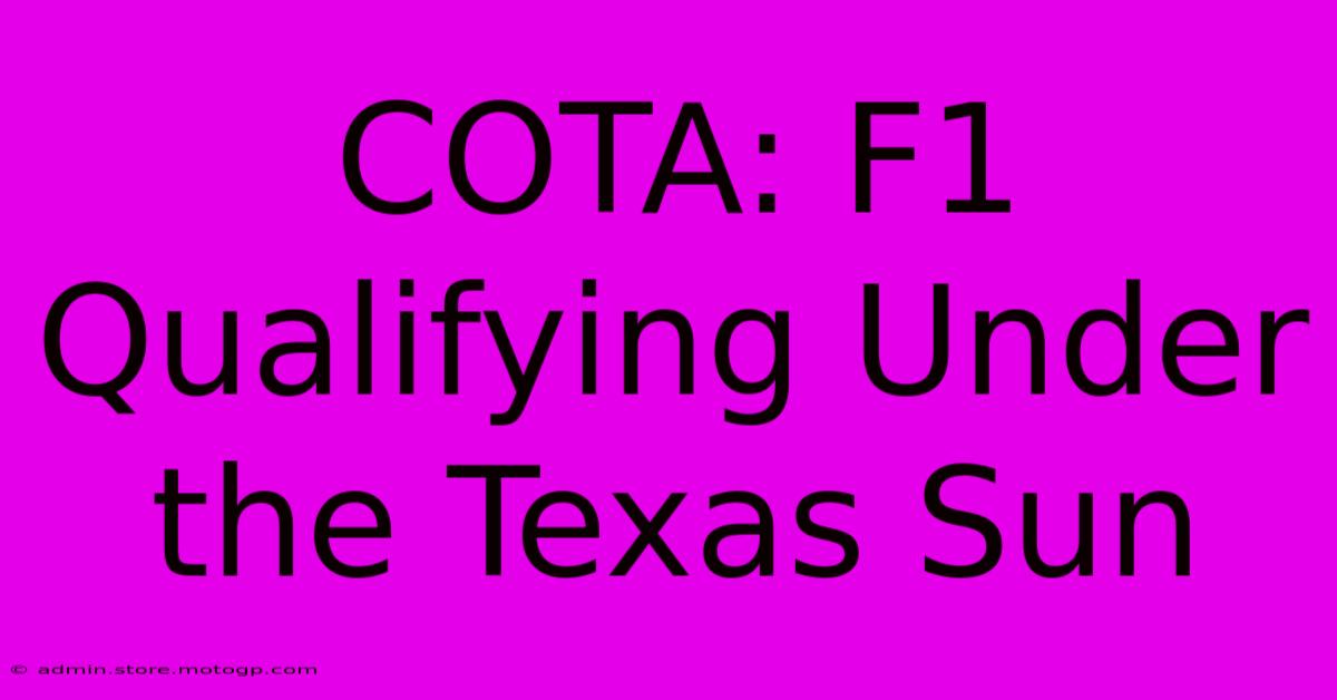 COTA: F1 Qualifying Under The Texas Sun