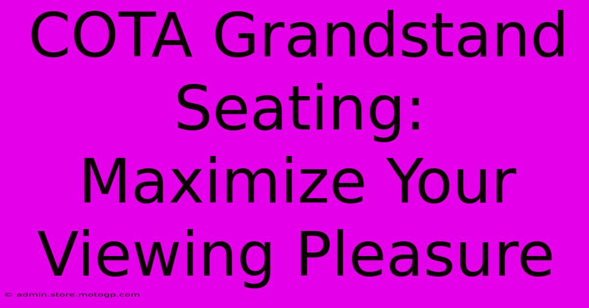 COTA Grandstand Seating:  Maximize Your Viewing Pleasure