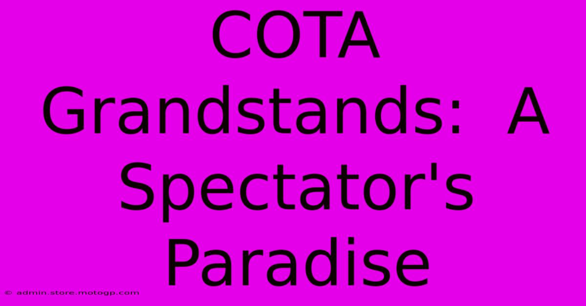 COTA Grandstands:  A Spectator's Paradise