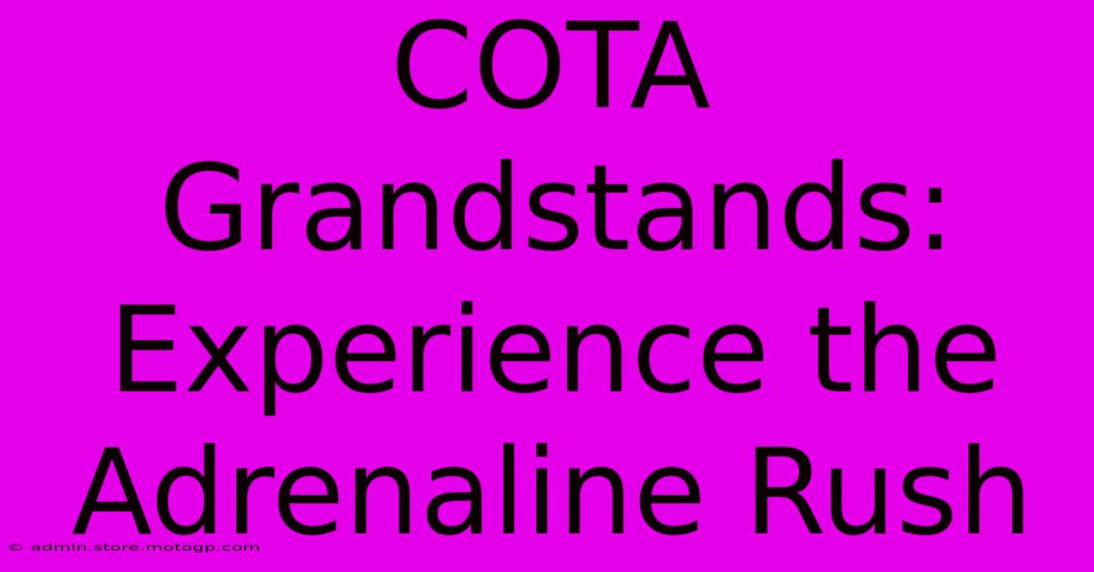 COTA Grandstands:  Experience The Adrenaline Rush