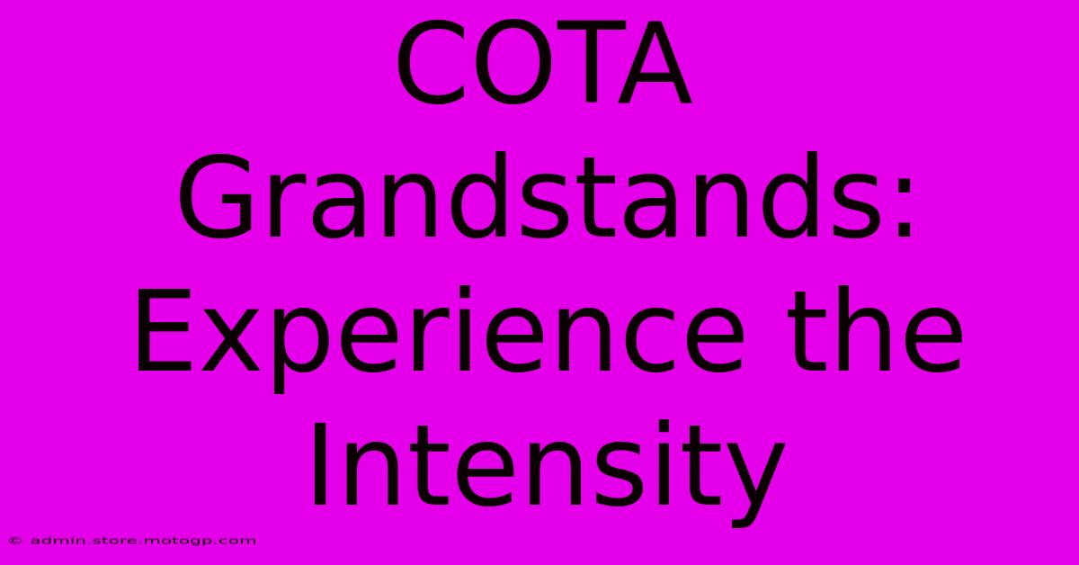 COTA Grandstands:  Experience The Intensity