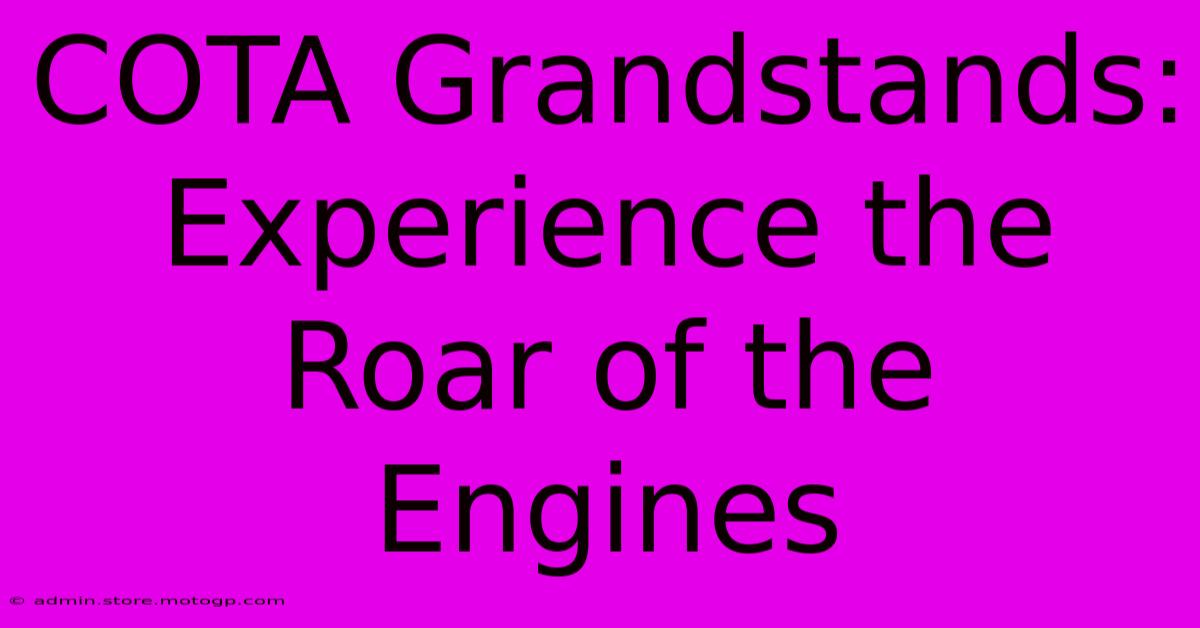 COTA Grandstands: Experience The Roar Of The Engines