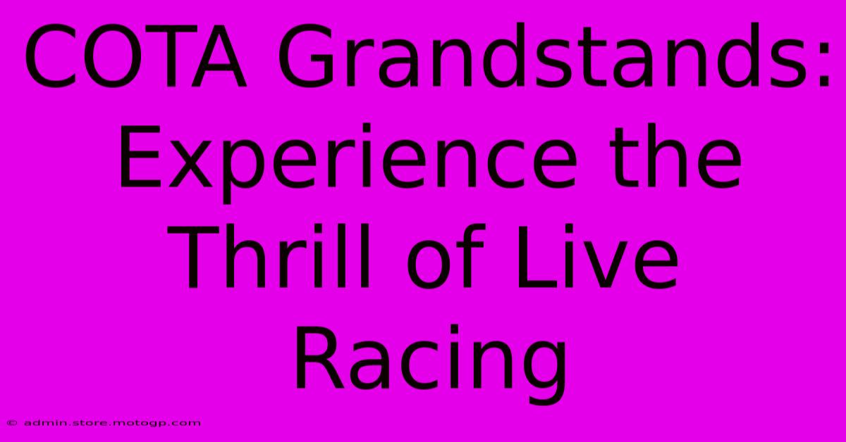 COTA Grandstands:  Experience The Thrill Of Live Racing