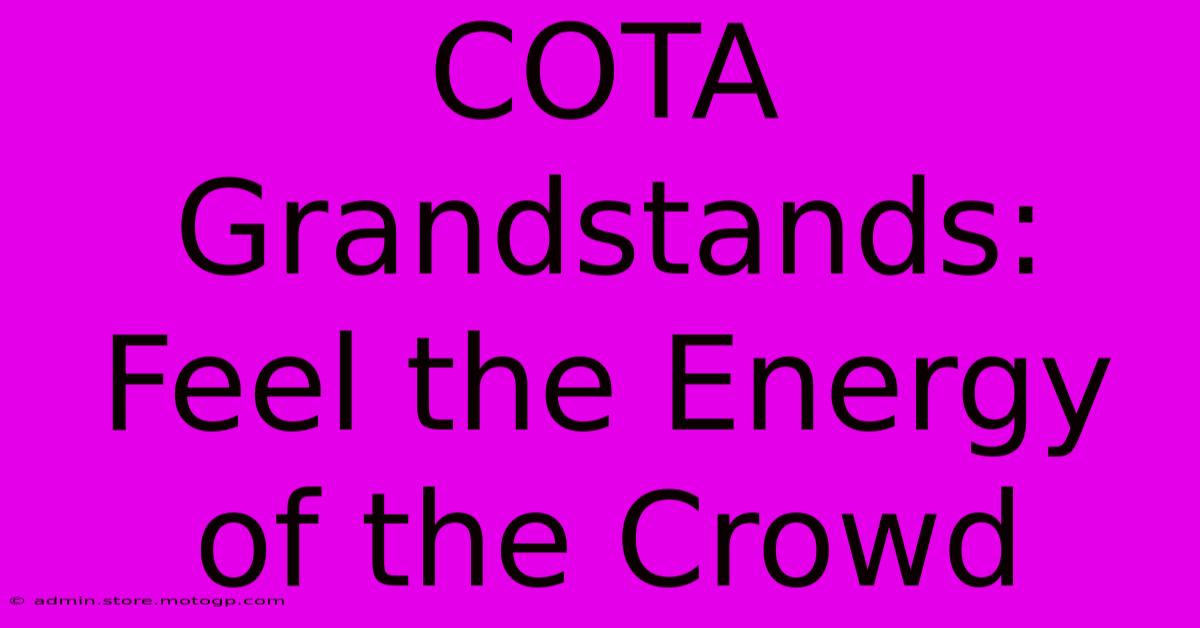 COTA Grandstands:  Feel The Energy Of The Crowd