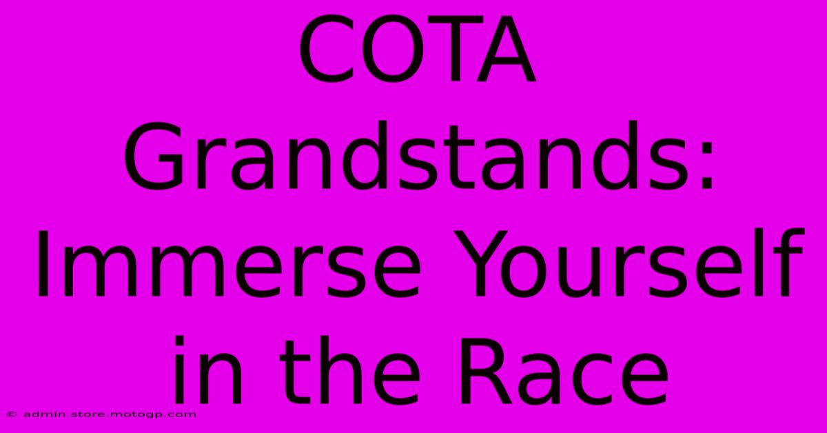 COTA Grandstands: Immerse Yourself In The Race