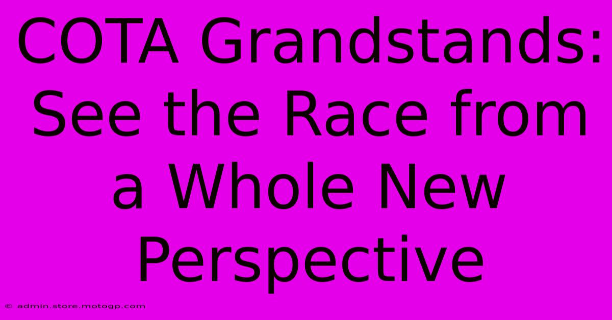 COTA Grandstands:  See The Race From A Whole New Perspective