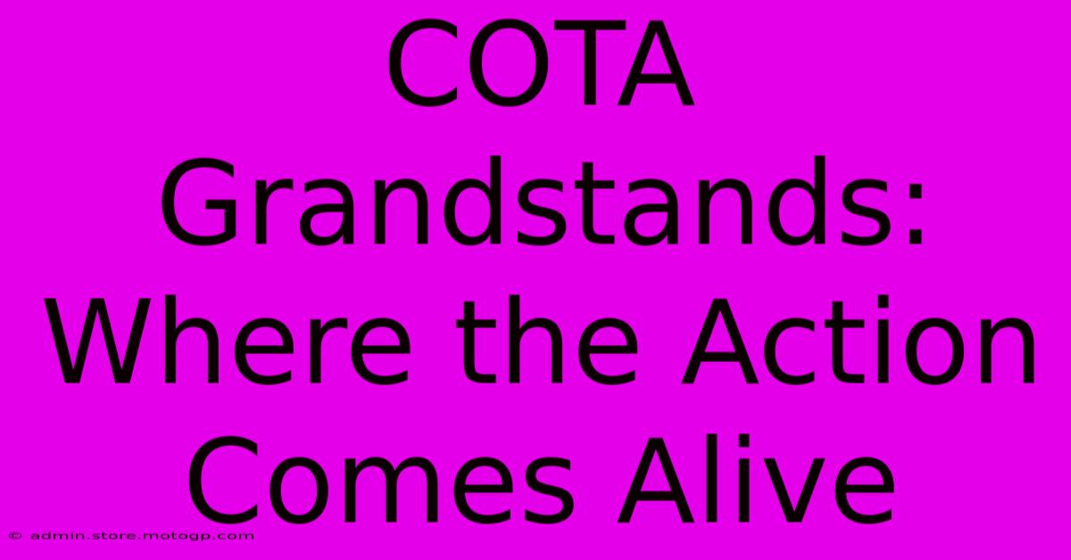 COTA Grandstands: Where The Action Comes Alive