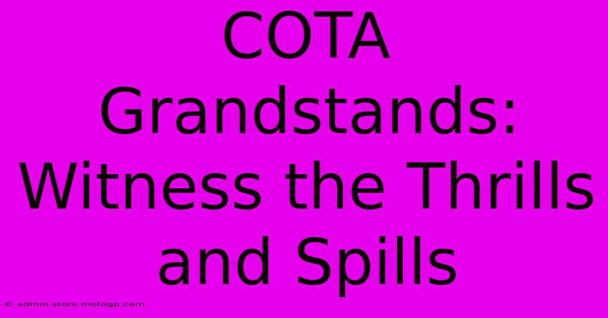 COTA Grandstands:  Witness The Thrills And Spills