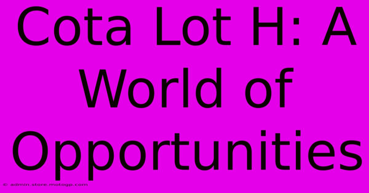 Cota Lot H: A World Of Opportunities