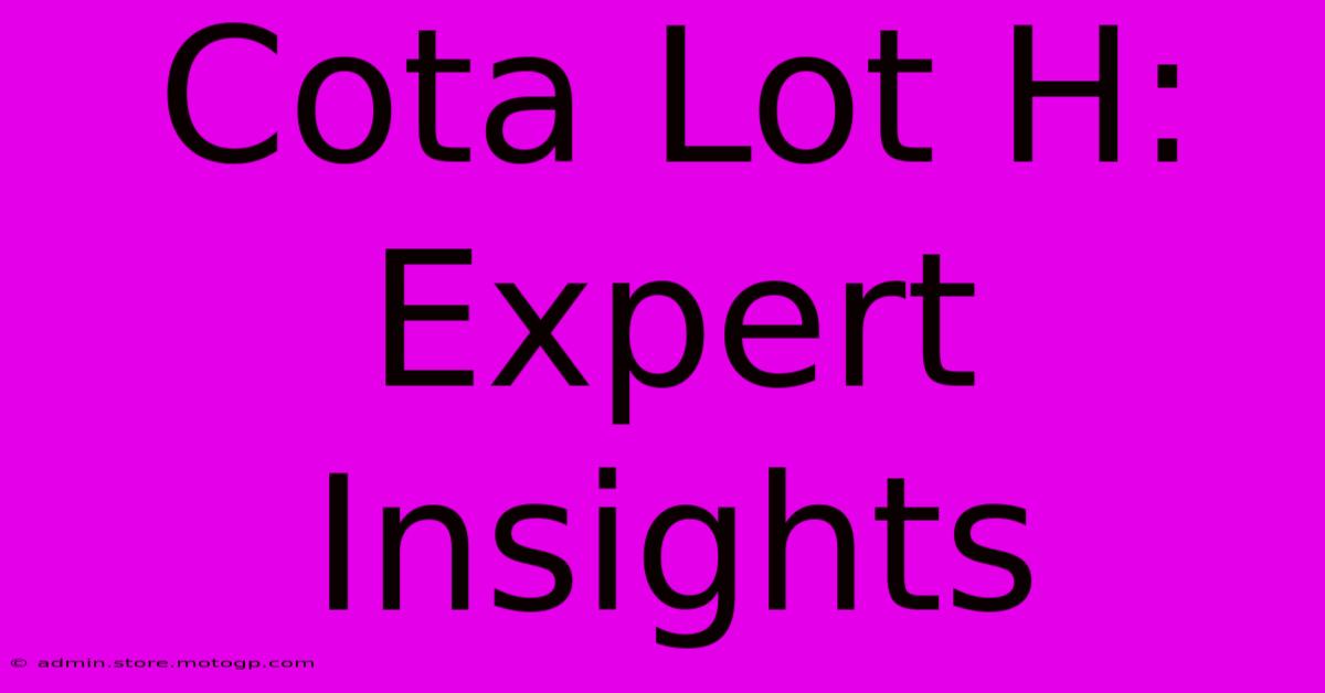 Cota Lot H: Expert Insights