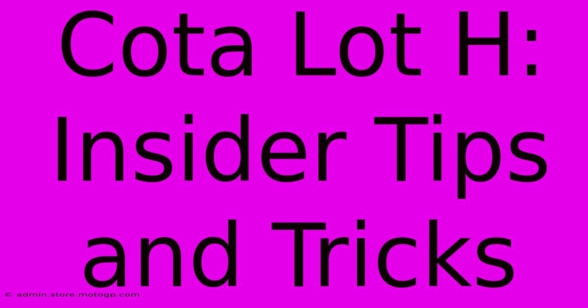 Cota Lot H: Insider Tips And Tricks