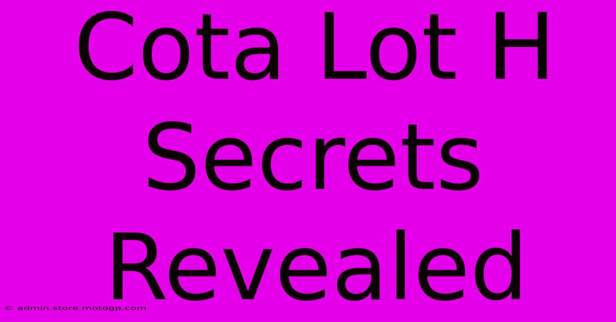 Cota Lot H Secrets Revealed