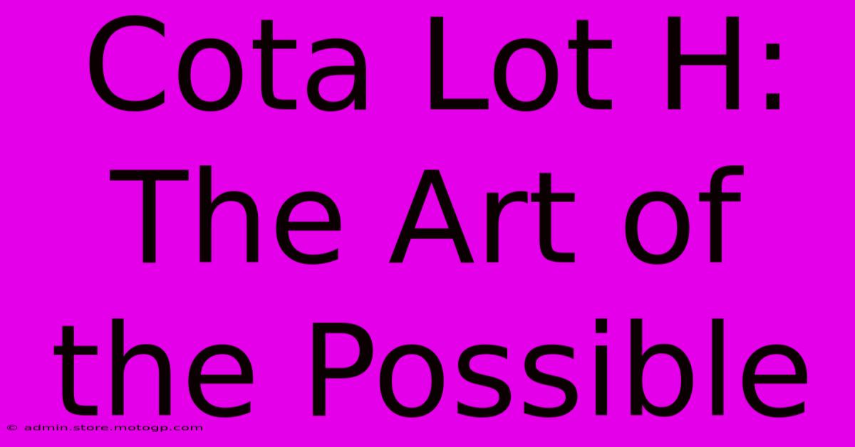 Cota Lot H: The Art Of The Possible