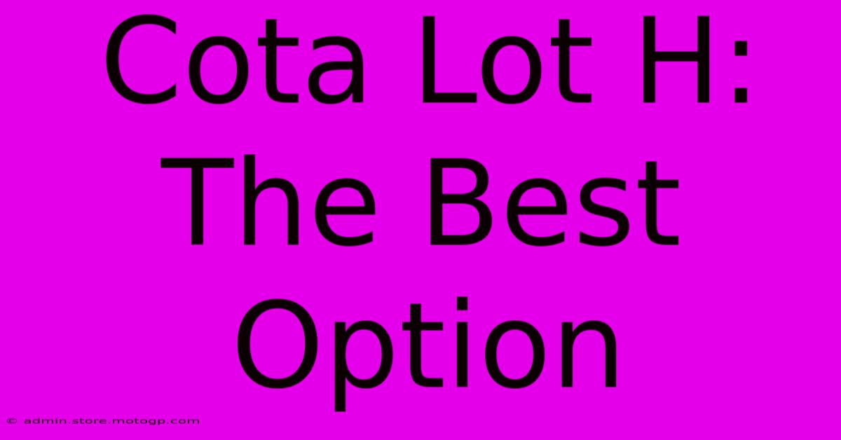 Cota Lot H:  The Best Option