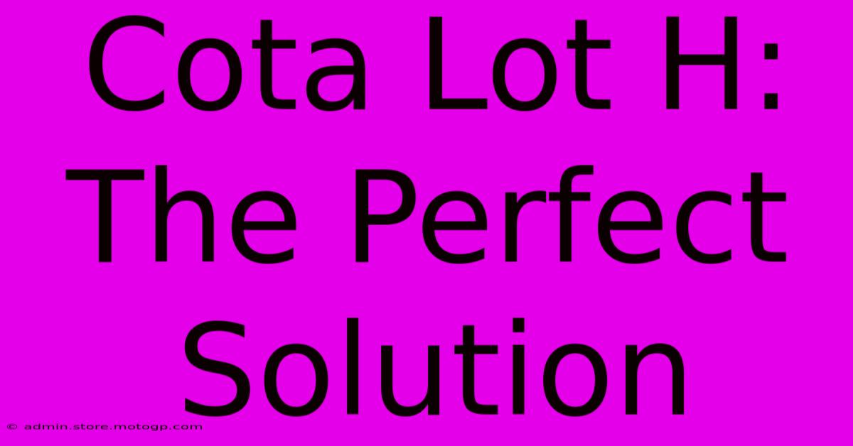 Cota Lot H:  The Perfect Solution