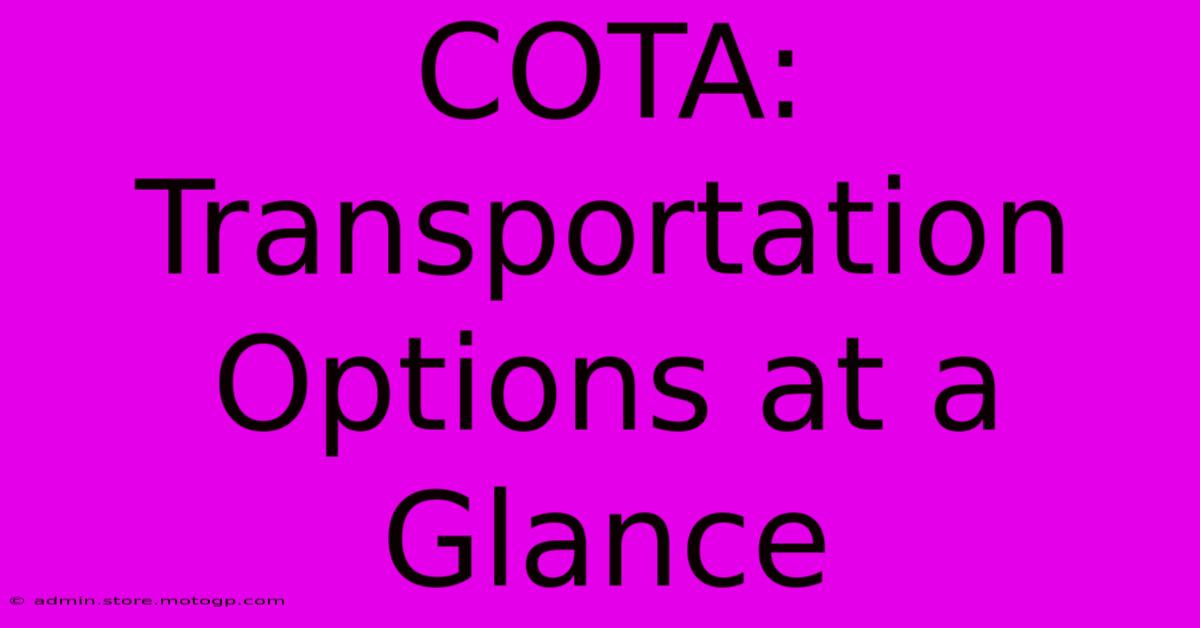 COTA: Transportation Options At A Glance