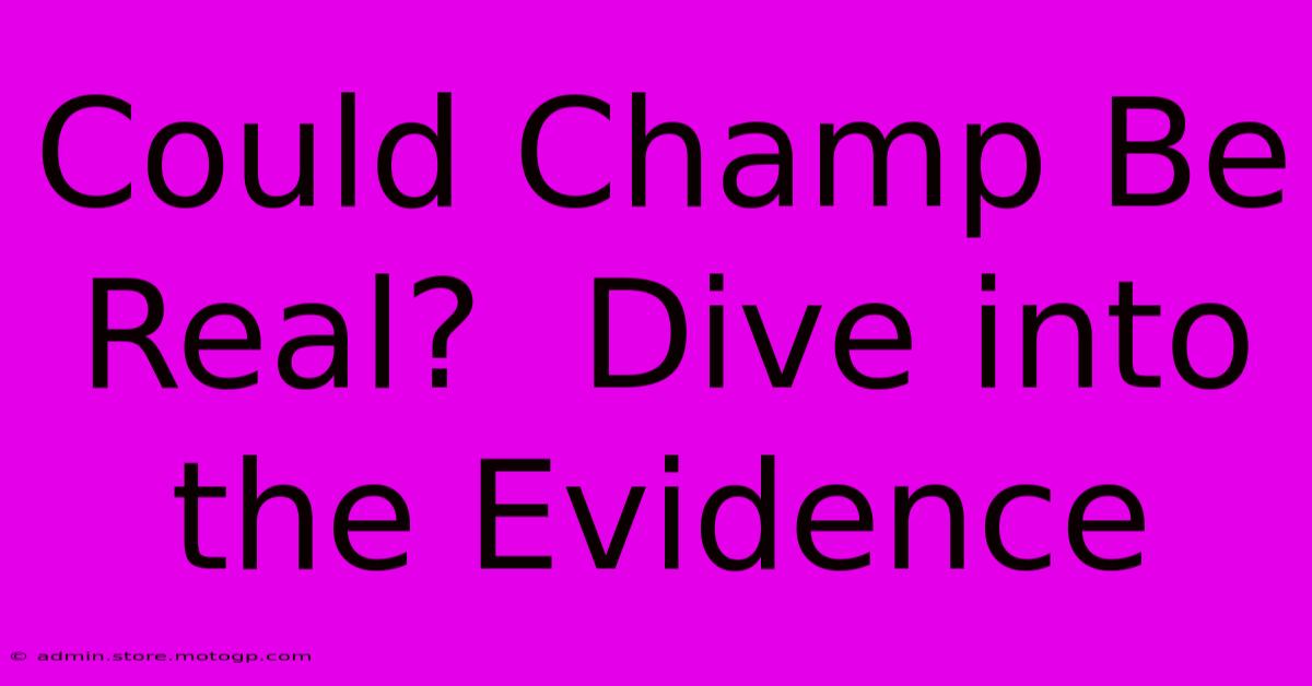 Could Champ Be Real?  Dive Into The Evidence