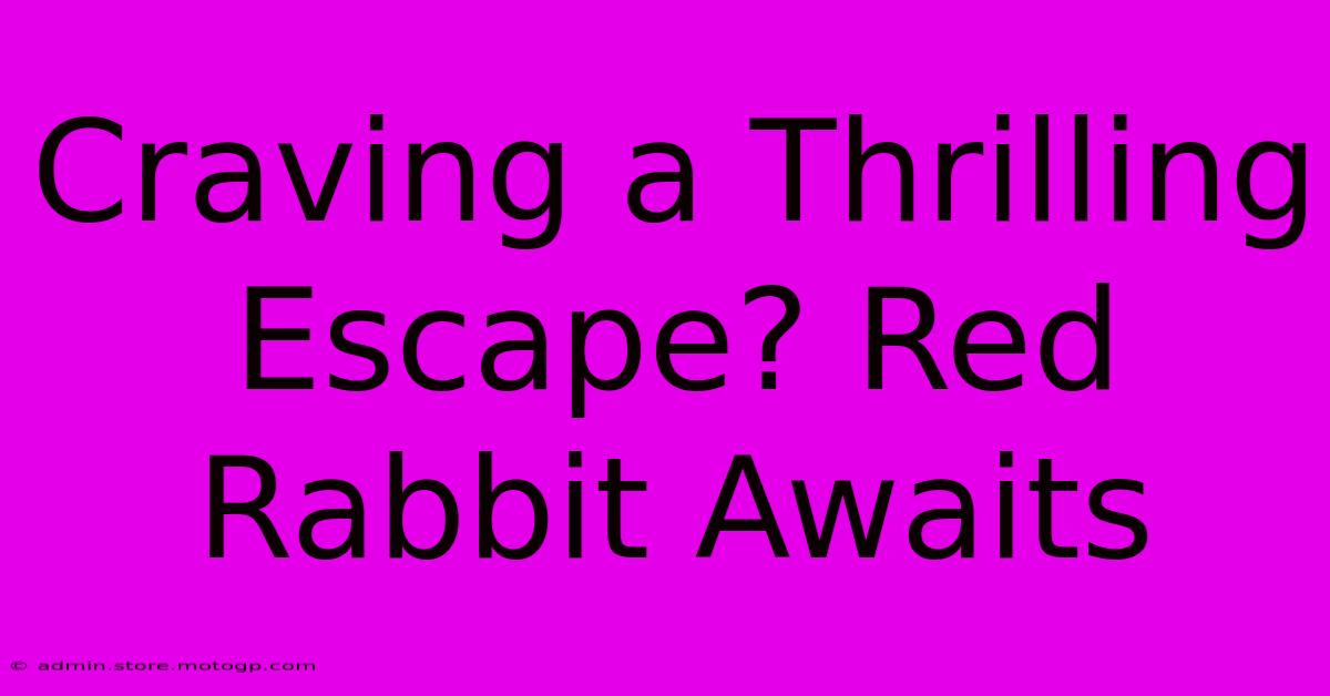 Craving A Thrilling Escape? Red Rabbit Awaits