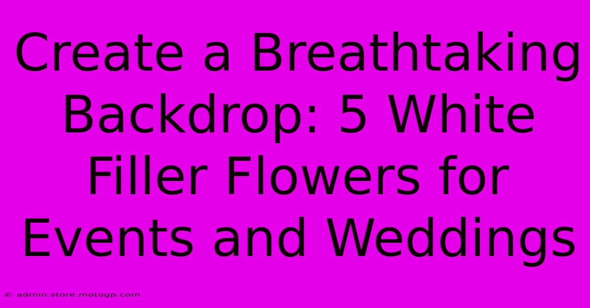 Create A Breathtaking Backdrop: 5 White Filler Flowers For Events And Weddings