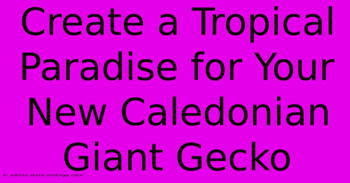 Create A Tropical Paradise For Your New Caledonian Giant Gecko