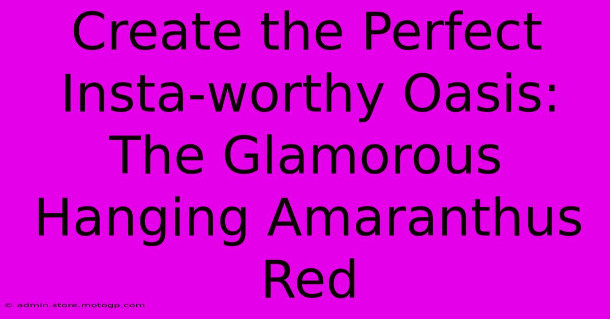 Create The Perfect Insta-worthy Oasis: The Glamorous Hanging Amaranthus Red