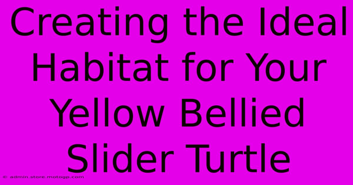 Creating The Ideal Habitat For Your Yellow Bellied Slider Turtle