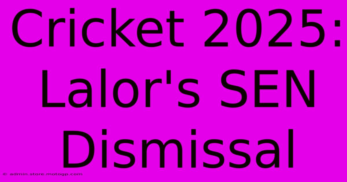 Cricket 2025: Lalor's SEN Dismissal