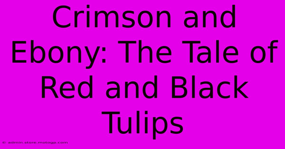 Crimson And Ebony: The Tale Of Red And Black Tulips