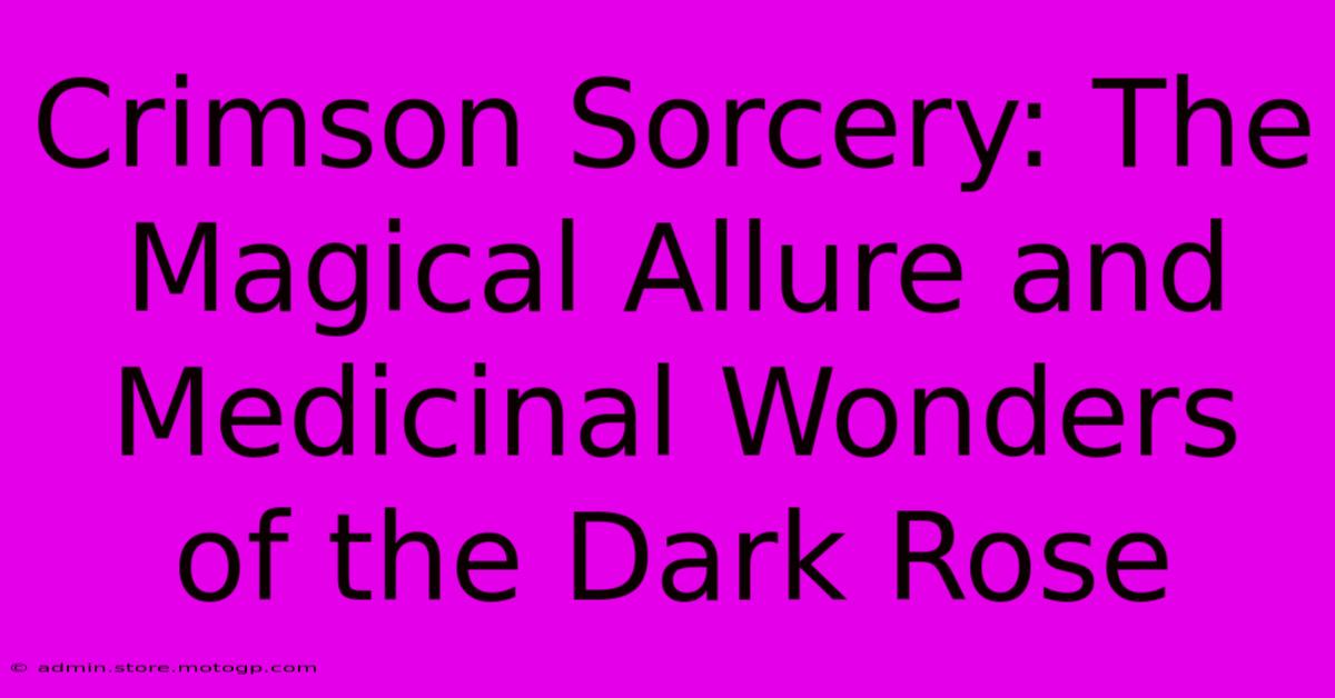 Crimson Sorcery: The Magical Allure And Medicinal Wonders Of The Dark Rose