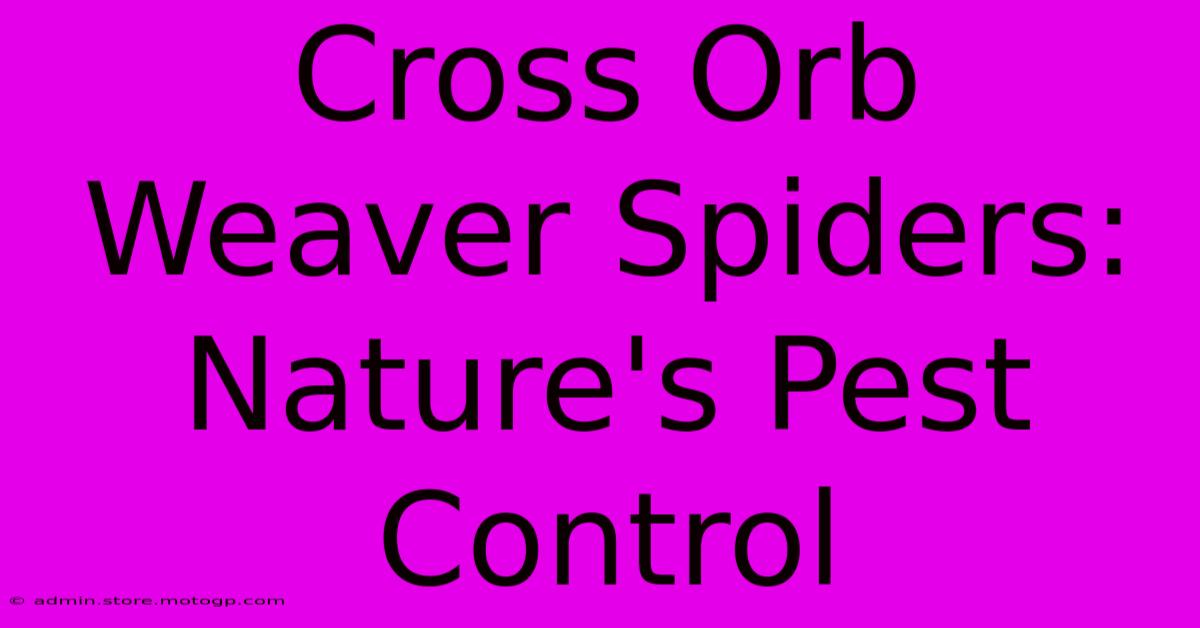 Cross Orb Weaver Spiders: Nature's Pest Control