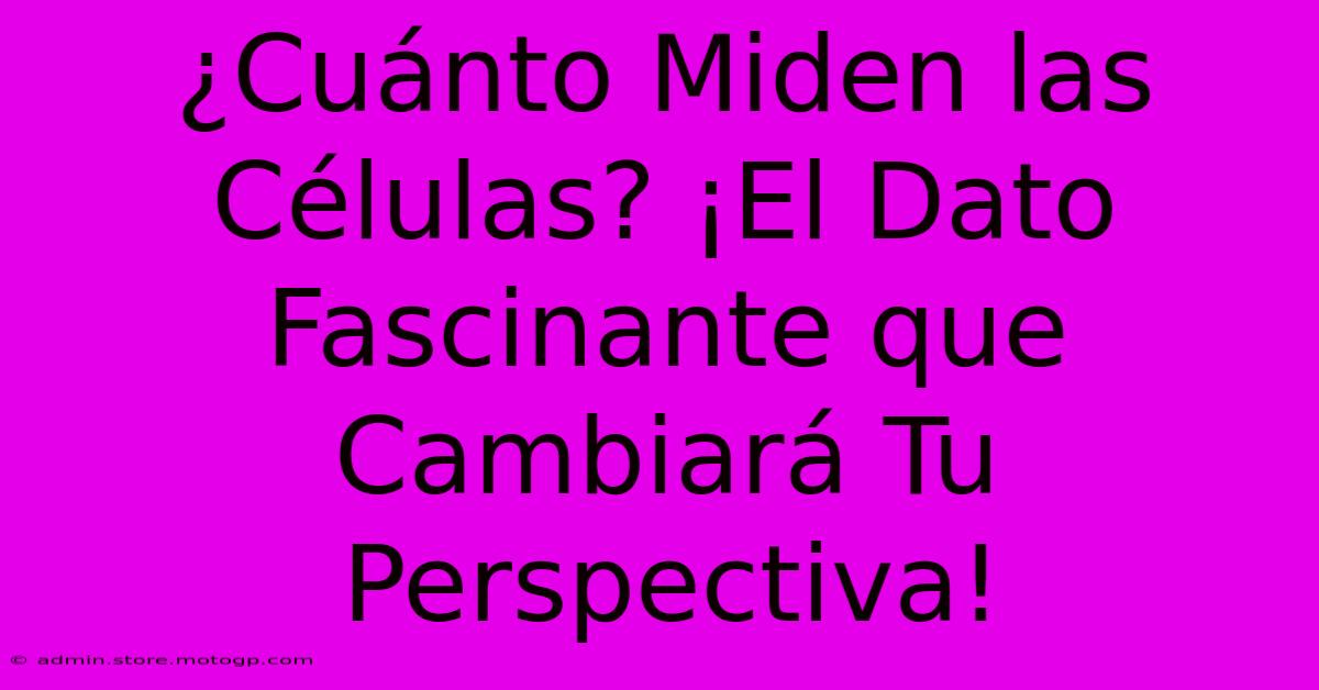 ¿Cuánto Miden Las Células? ¡El Dato Fascinante Que Cambiará Tu Perspectiva!